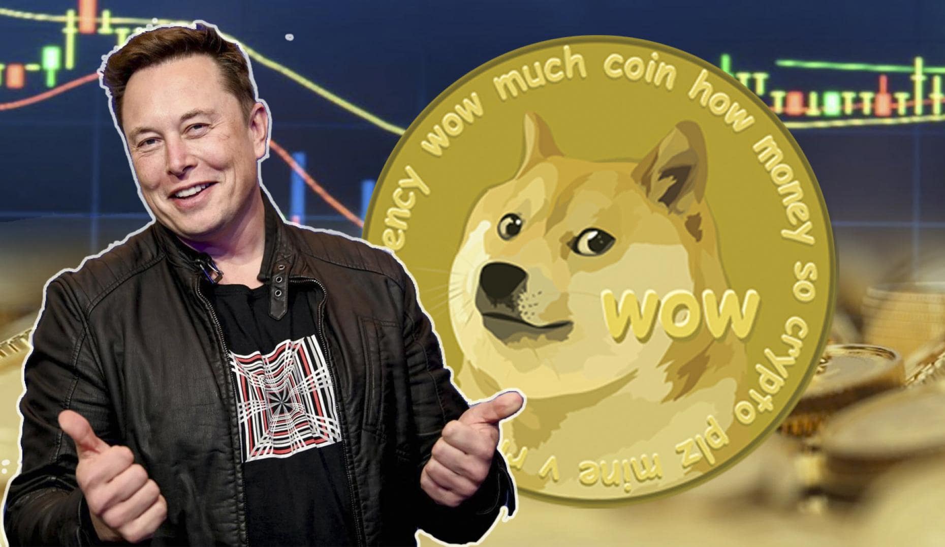 Micro Environment Invest in Dogecoin