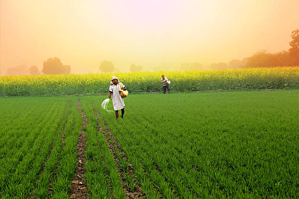 Rural Marketing Strategies Agriculture in rural marketing strategies
