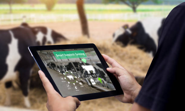 Rural Marketing Strategies How to Develop a Rural Marketing Strategies Consumer