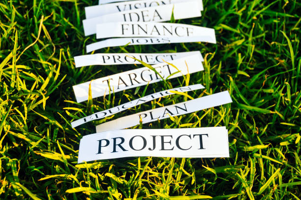 What is Strategic Planning What is Strategic Planning